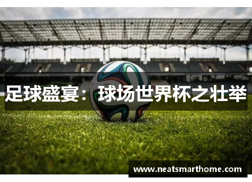 足球盛宴：球场世界杯之壮举
