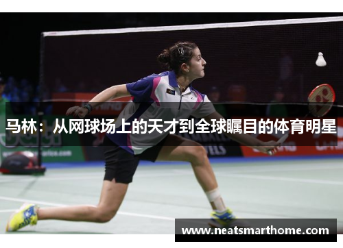 马林：从网球场上的天才到全球瞩目的体育明星